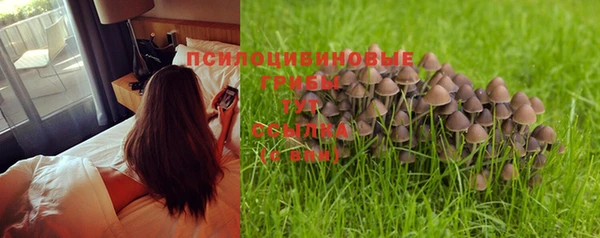 молекула духа Белокуриха